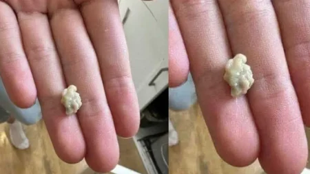 φτερνίστηκε-4-5-φορές-χθες-και-ένιωσε-κά-199828