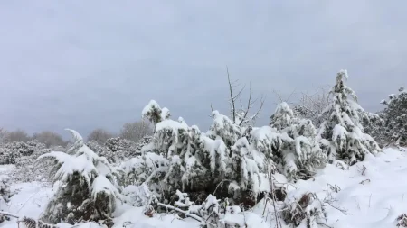 καιρός-κλειστά-σχολεία-αύριο-yποχρε-198674