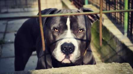 ανείπωτη-τραγωδία-πέθανε-βρέφος-μετά-205860