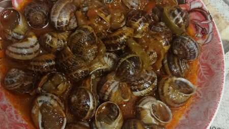 σε-όσους-αρέσουν-είναι-ο-καλύτερος-μεζ-203578