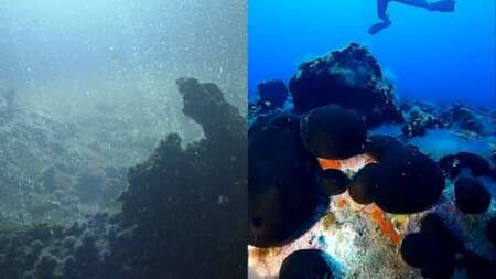 εικόνες-που-κόβουν-την-ανάσα-δύτες-β-204384