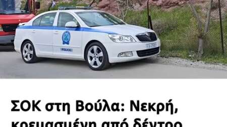 νεκρή-βρέθηκε-η-39χρονη-που-εξαφανίστηκ-206951