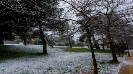 ektakto-χιονιζει-τωρα-στην-αττικη-και-δεν-π-206751