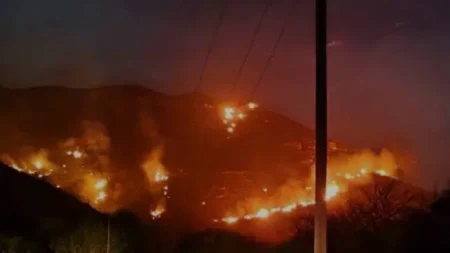 μεγάλη-φωτιά-τωρά-στην-χώρα-μας-μέσα-στ-210983