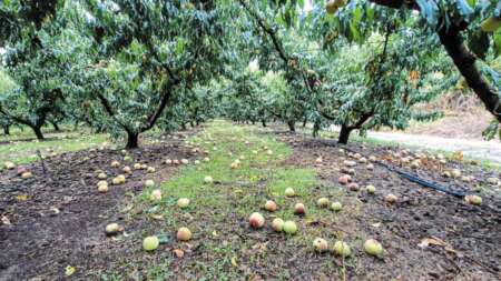 συναγερμός-τώρα-σε-κατάσταση-έκτακτη-212813