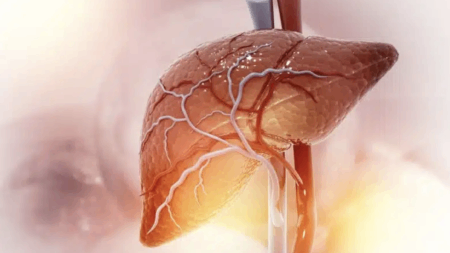 λίπος-στο-συκώτι-τι-να-τρώτε-για-να-το-μ-211501