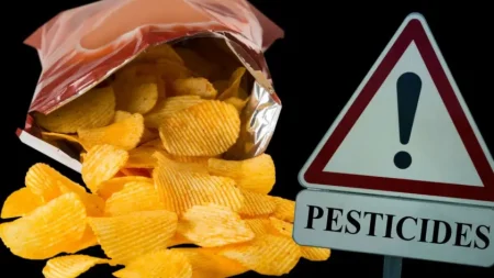 νεκροί-μαθητές-από-πατατάκια-με-φυτοφ-210129