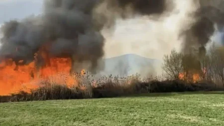 μεγαλη-φωτια-συναγερμός-στην-πυροσβε-211362