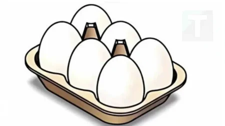 έχω-6-αυγά-έσπασα-τα-2-τηγάνισα-τα-2-έφαγα-212599