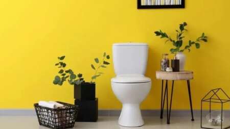 δuσκοιλιότητα-τέλος-1-κουταλάκi-του-γλuκ-213418