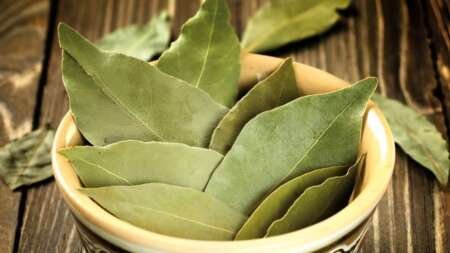 το-βότανο-της-χριστιανοσύνης-που-αν-219078