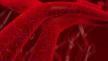 τα-τοπ-10-βότανα-και-μπαχαρικά-που-υποστ-219971