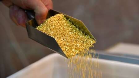 μην-το-ξαναπεταξετε-ποτε-στα-σκουπιδι-218979