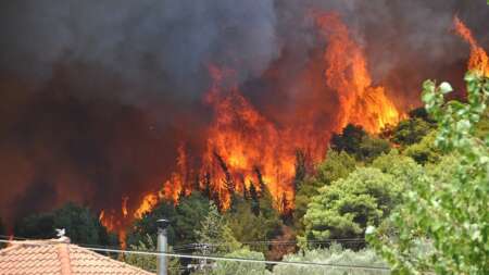 σοκαριστικές-εικόνες-ανεξέλεγκτη-φω-219489