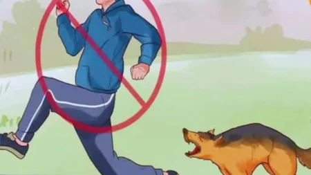 τα-σκυλιά-μπορούν-να-ξεχωρίσουν-ποιος-215274