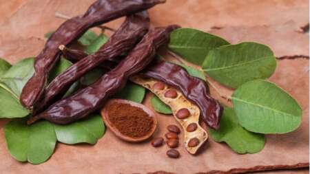 η-τροφή-της-κατοχής-κορυφαία-πηγή-ασβε-219060