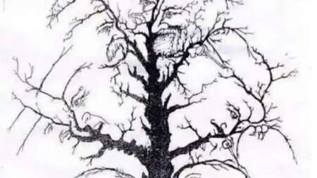 εσείς-πόσα-πρόσωπα-βλέπετε-219740