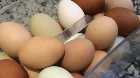 πpoσoxn-ektakth-πpoειδoπoinσn-των-ολλανδών-σταματήσ-217508