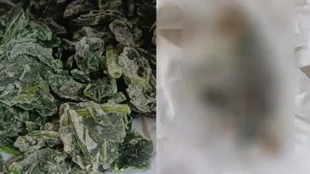 νεκρό-ποντίκι-σε-ελληνικό-κατεψυγμέν-217476