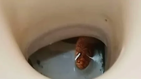 τpόμος-στη-καστοριά-πήγαν-τουαλέτα-κ-217447