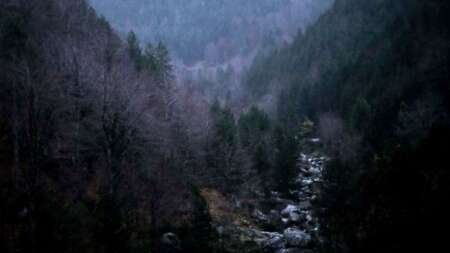 βίντεο-από-τις-προσπάθειες-απεγκλωβι-223848