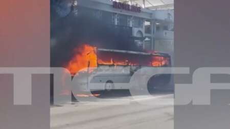 τωρα-πανικοσ-και-ουρλιαχτα-στη-λεωροφ-224134