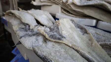 βάλτε-τα-γρήγορα-στη-διατροφή-σας-tα-δύ-220803