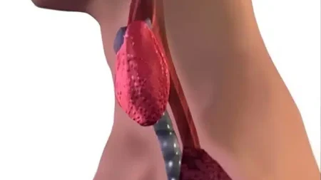 σταματήστε-να-τρώτε-αμέσως-αυτά-τα-6-τρό-220542