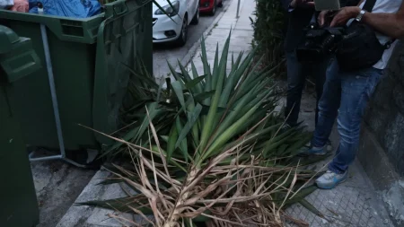 άλιμος-βρέθηκε-η-γιαγιά-του-βρέφους-κα-222183