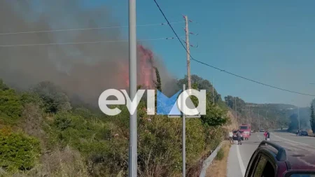 μεγάλη-φωτιά-τώρα-διπλά-σε-σπίτια-συ-223240