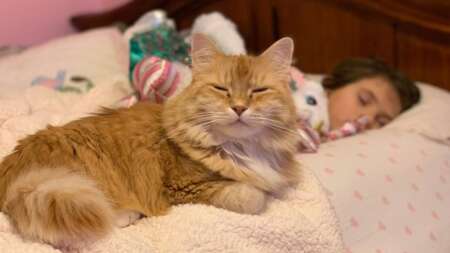 άνθρωποι-που-κοιμούνται-στο-ίδιο-κρεβ-220539