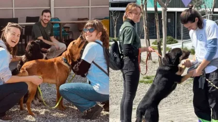 η-φιλοσοφία-στην-πράξη-ένα-μάθημα-καρδ-223025