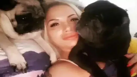 θρίλερ-φιλόζωη-φαγώθηκε-από-τα-σκυλιά-221404