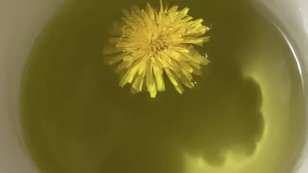 to-ρόφημα-που-πίνουν-τα-μοντέλα-για-επίπ-222801