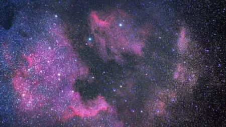 το-ένα-και-μοναδικό-ζώδιο-που-μηδενίζε-220634