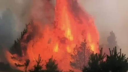 μεγάλη-φωτιά-στην-αττική-συναγερμός-220647