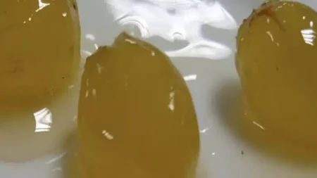 τα-8-οκτώ-γλυκά-που-δεν-παχαίνουν-220738