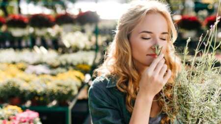 εξαλείψτε-τη-μυρωδιά-των-ούρων-και-αρω-222616