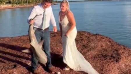 τρελάθηκαν-οι-καλεσμένοι-νύφη-έκανε-π-222335