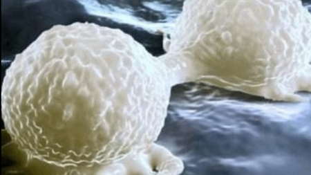 σταματήστε-να-τρώτε-αυτό-άμεσα-προε-220169