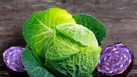 4-τύποι-ανθρώπων-που-πρεπει-να-αποφυγου-220586