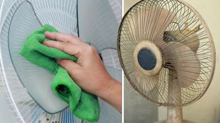 πώς-να-καθαρίσετε-έναν-ηλεκτρικό-ανεμ-228649