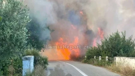 ασταματητη-η-φωτια-κοντα-σε-σπιτια-ήχ-228968