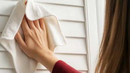 καθάρισμα-παντζουριών-ο-έξυπνος-τρόπ-226829