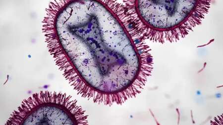 εκτακτo-παγκοσμιοσ-συναγεpmοσ-τι-εμ-225778