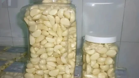 σκόρδο-πάντα-φρέσκο-και-άθικτο-για-1-χρό-228075