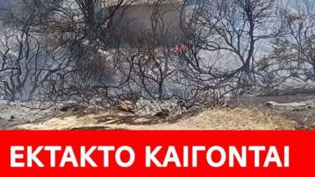 εκτακτο-τωρα-απεγκλωβισμοι-παιδιων-228401