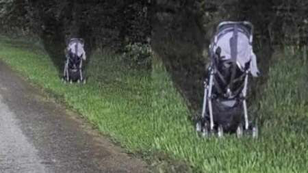 αν-δείτε-καρότσι-στην-άκρη-του-δρόμου-τ-227913