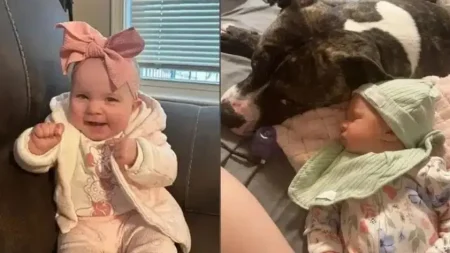 σε-σοκ-μητέρα-βρέφους-κατασπάραξε-τ-228872