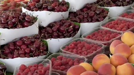 ελληνικό-διάσημο-φρούτο-γεμάτο-φυτοφ-228197